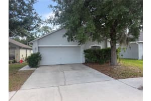 6529 Tabogi Trl, WESLEY CHAPEL