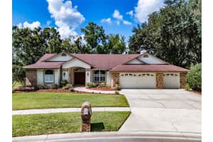 507 Surrey Ln, LUTZ 507 Surrey Ln, LUTZ