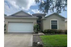 19132 WOOD SAGE DRIVE, TAMPA, FL 33647 - MLS#MFRTB8517431