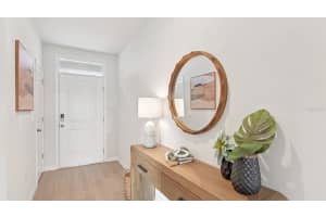 18713 DRIFTING ELM STREET, SPRING HILL, FL 34610 - MLS#MFRTB8517440
