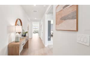 18713 DRIFTING ELM STREET, SPRING HILL, FL 34610 - MLS#MFRTB8517440
