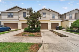 5028 White Sanderling Ct, TAMPA 5028 White Sanderling Ct, TAMPA
