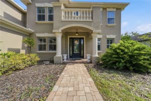 9244 RHEA DRIVE, ODESSA, FL 33556 - MLS#MFRTB8517526