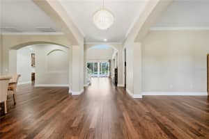 9244 RHEA DRIVE, ODESSA, FL 33556 - MLS#MFRTB8517526