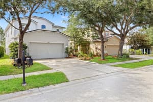 17535 BALMAHA DRIVE, LAND O LAKES, FL 34638 - MLS#MFRTB8517550