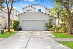 17535 BALMAHA DRIVE, LAND O LAKES, FL 34638 - MLS#MFRTB8517550