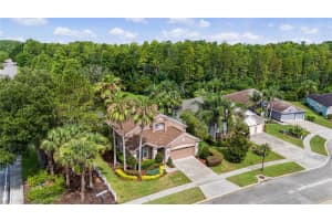 8711 PRESTON WOODS COURT, LAND O LAKES, FL 34638 - MLS#MFRTB8517557