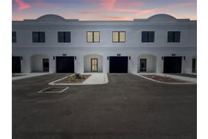 4345 Cambio Gardens Ct, TAMPA