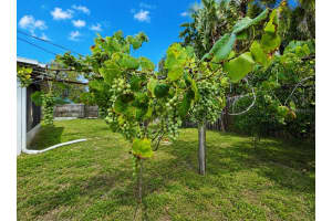 164 PINEWOOD AVENUE, CLEARWATER, FL 33765 - MLS#MFRTB8517610