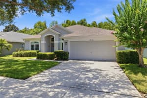 19720 MORDEN BLUSH DRIVE, LUTZ, FL 33558 - MLS#MFRTB8517634