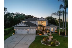 6119 CHENE COURT, LUTZ, FL 33558 - MLS#MFRTB8517841
