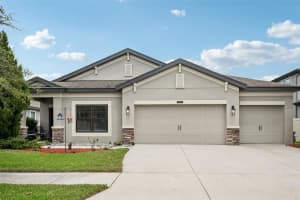 8210 Mallow Mirror Ln, LAND O LAKES