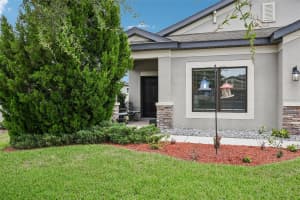 8210 MALLOW MIRROR LANE, LAND O LAKES, FL 34637 - MLS#MFRTB8517875