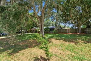 38929 TALL DRIVE, ZEPHYRHILLS, FL 33540 - MLS#MFRTB8517915