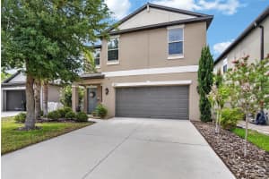 10211 AMAZING GRACE AVENUE, RIVERVIEW, FL 33578 - MLS#MFRTB8517923