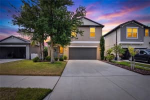 10211 AMAZING GRACE AVENUE, RIVERVIEW, FL 33578 - MLS#MFRTB8517923