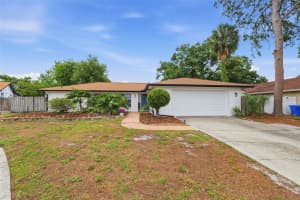 8307 VALLEJO PLACE, TAMPA, FL 33614 - MLS#MFRTB8517946