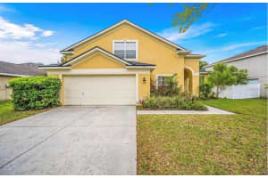 19151 Dove Creek Dr, TAMPA