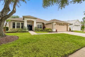 10229 QUAILS LANDING AVENUE, TAMPA, FL 33647 - MLS#MFRTB8518042