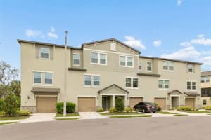 873 Tennyson Mill Cir, TAMPA 873 Tennyson Mill Cir, TAMPA