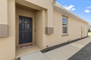 17784 TURNING LEAF CIRCLE, LAND O LAKES, FL 34638 - MLS#MFRTB8518071