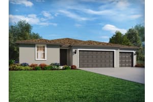 13755 Umber Forest St, HUDSON 13755 Umber Forest St, HUDSON