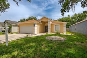 19204 WOOD SAGE DRIVE, TAMPA, FL 33647 - MLS#MFRTB8518120