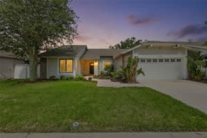 14651 Village Glen Cir, TAMPA