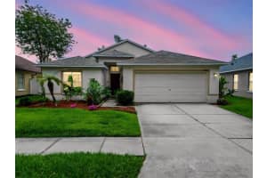 2003 BERRY LAKE DRIVE, BRANDON, FL 33510 - MLS#MFRTB8518216