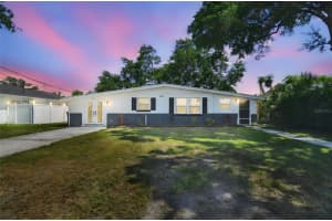 8703 Driftwood Dr, TAMPA