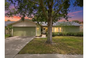 17513 Shadyside Cir, LUTZ