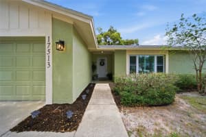 17513 SHADYSIDE CIRCLE, LUTZ, FL 33549 - MLS#MFRTB8518345