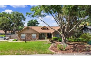 3916 Broomsedge Ln, VALRICO 3916 Broomsedge Ln, VALRICO
