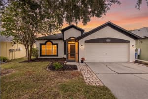 22633 Marsh Wren Dr, LAND O LAKES 22633 Marsh Wren Dr, LAND O LAKES