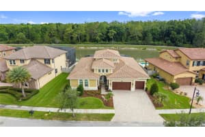 28715 CORBARA PLACE, WESLEY CHAPEL, FL 33543 - MLS#MFRTB8518475
