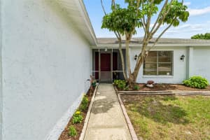 5503 PENTAIL CIRCLE, TAMPA, FL 33625 - MLS#MFRTB8518496