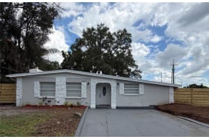 3001 E Fern St, TAMPA
