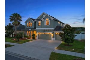 10645 MISTFLOWER LANE, TAMPA, FL 33647 - MLS#MFRTB8518743