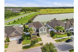 10645 MISTFLOWER LANE, TAMPA, FL 33647 - MLS#MFRTB8518743