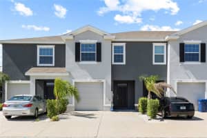 34347 Sorrel Mint Dr, WESLEY CHAPEL 34347 Sorrel Mint Dr, WESLEY CHAPEL