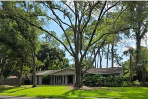 8313 Pat Blvd, TAMPA 8313 Pat Blvd, TAMPA