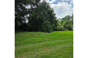 8313 PAT BOULEVARD, TAMPA, FL 33615 - MLS#MFRTB8518860