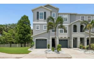 504 Wheaton Trent Pl, TAMPA 504 Wheaton Trent Pl, TAMPA
