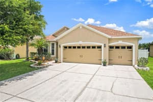 31415 BRIDGEGATE DRIVE, WESLEY CHAPEL, FL 33545 - MLS#MFRTB8518920
