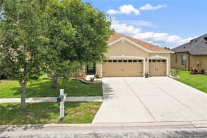 31415 BRIDGEGATE DRIVE, WESLEY CHAPEL, FL 33545 - MLS#MFRTB8518920