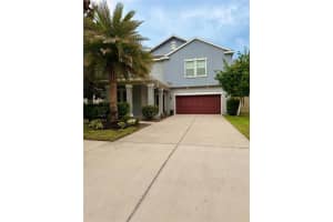 14250 Blue Dasher Dr, RIVERVIEW