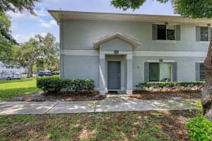 7434 BANK DRIVE, TAMPA, FL 33617 - MLS#MFRTB8518948