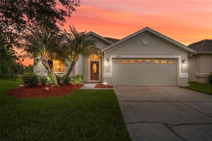 3817 Langdrum Dr, WESLEY CHAPEL 3817 Langdrum Dr, WESLEY CHAPEL
