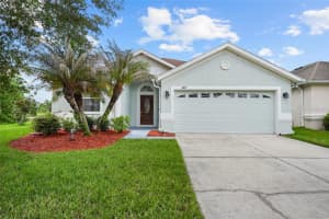 3817 LANGDRUM DRIVE, WESLEY CHAPEL, FL 33543 - MLS#MFRTB8519007