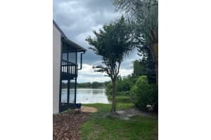 16596 BRIGADOON DRIVE, TAMPA, FL 33618 - MLS#MFRTB8519057